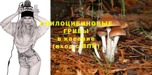 марки nbome Беломорск
