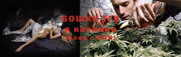 сатива Богородск